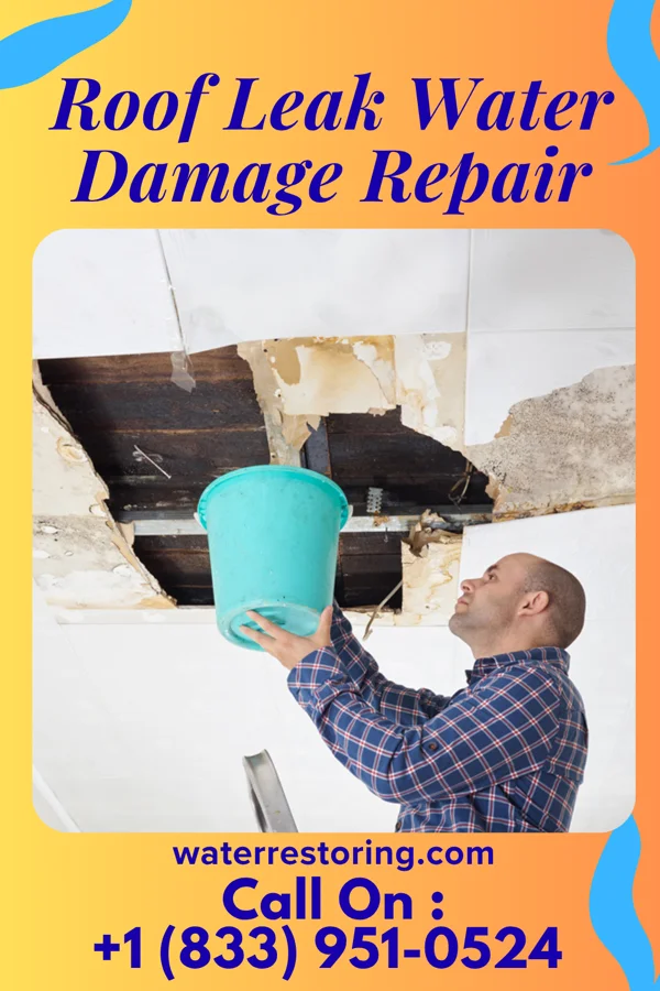 Roof Leak Water Damage Repair in West Sacramento, CA